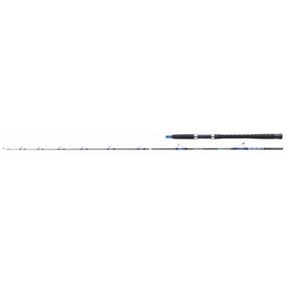 Fishing Rods - Fishing Rods for Boat - Fishing Rods for Inchiku- Jigging -  Fishing Rods Balzer Adrenalin 11002/210