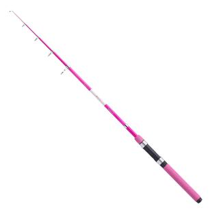Fishing Rods Balzer AVANTI FISHING QUEEN TELE 40 111490-211