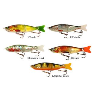 Ψαράκια - Τεχνητά δολώματα Balzer HOLO NATURE 13487