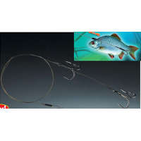 Αρματωσιά Ψαρέματος Balzer 14357