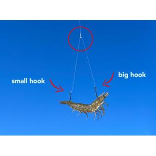 Fishing Rig for Tenya Hayabusa IS351