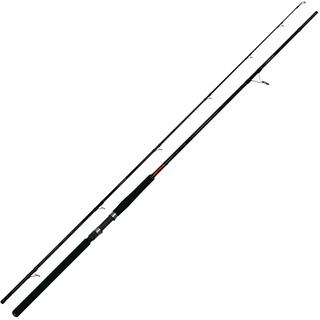 Fishing Rods Pregio Passion Shore Jigging SJ-20120H